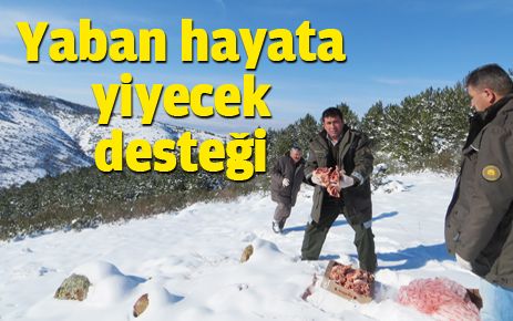 Yaşamak onların da hakkı