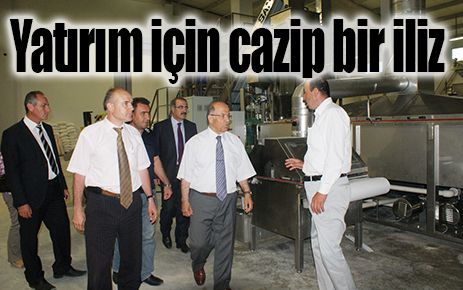 Yatırım için cazip bir iliz 