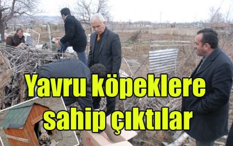 Yavru köpeklere sahip çıktılar 